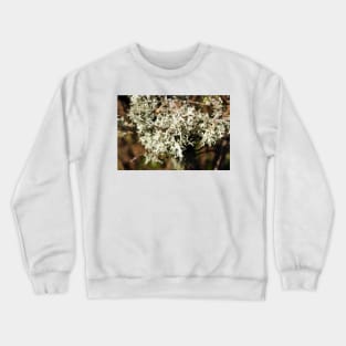 oakmoss lichen Crewneck Sweatshirt